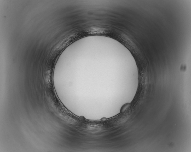 X0000112370549200909101324