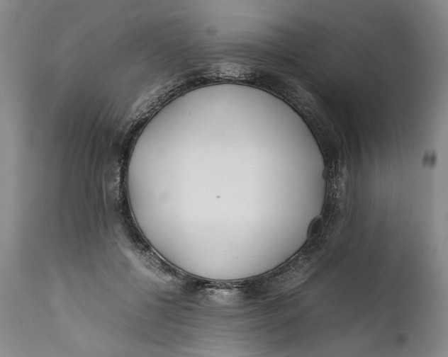 X0000112370552200909101324