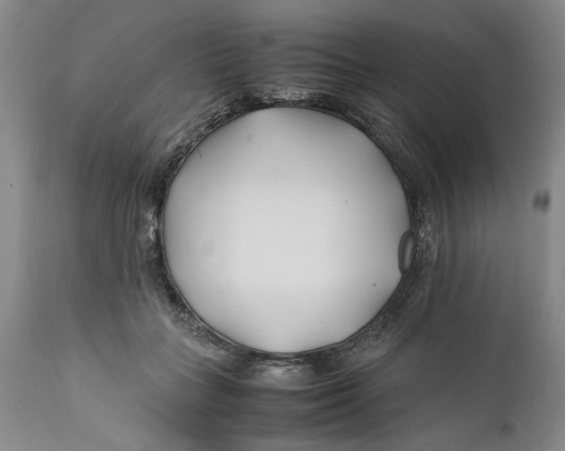 X0000112370555200909101324