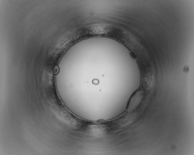 X0000112370556200909101324