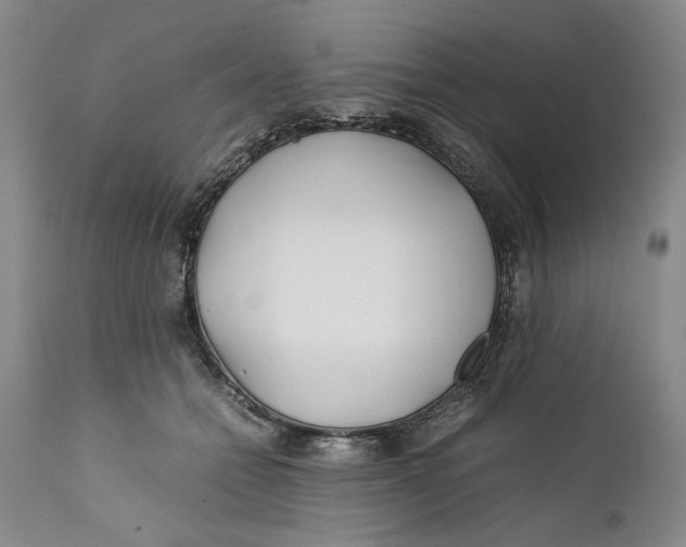 X0000112370558200909101324
