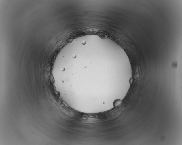 X0000112370559200909101324