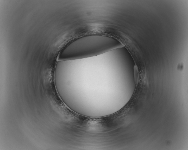 X0000112370560200909101324