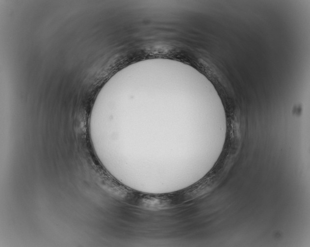 X0000112370561200909101324