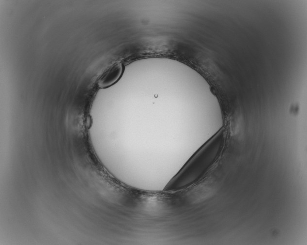 X0000112370564200909101324