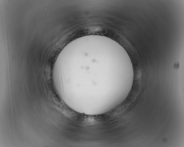 X0000112370565200909101324