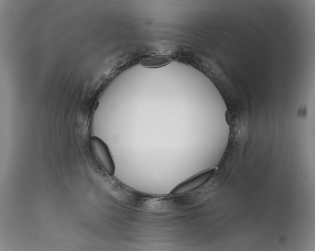 X0000112370568200909101324