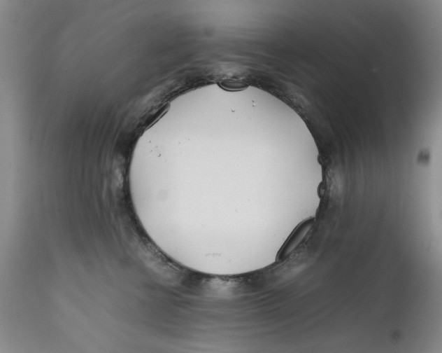 X0000112370570200909101324