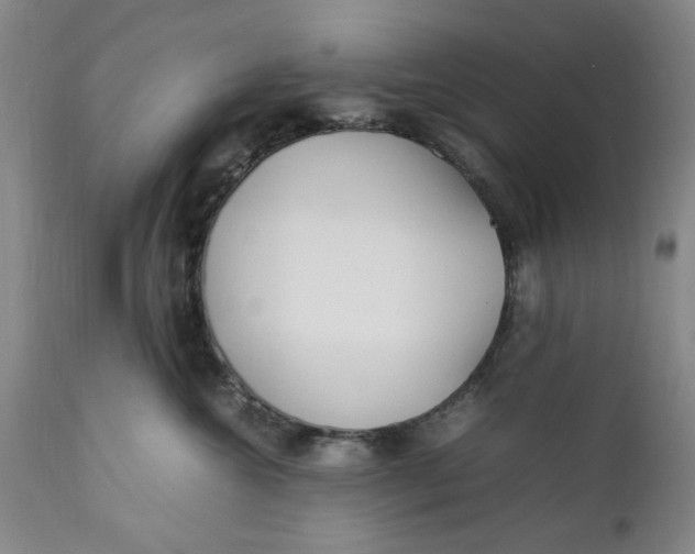 X0000112370572200909101324