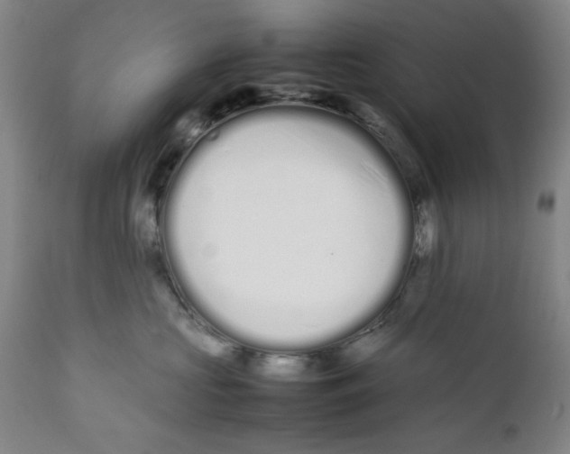 X0000112370573200909101324