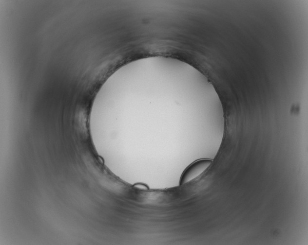 X0000112370575200909101324