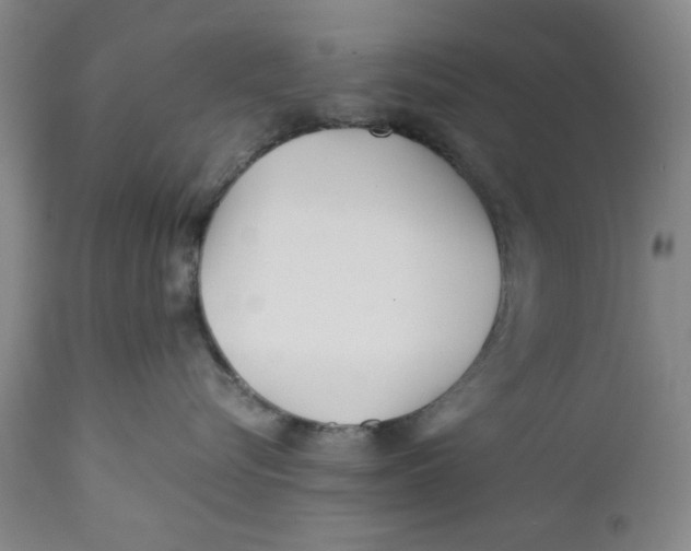 X0000112370576200909101324