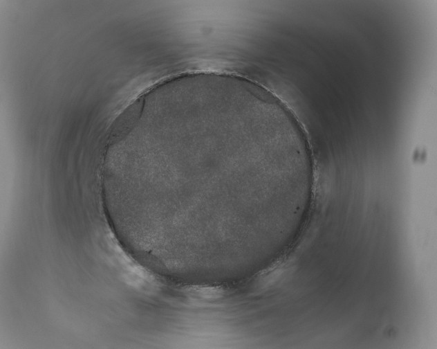 X0000112370577200909101323