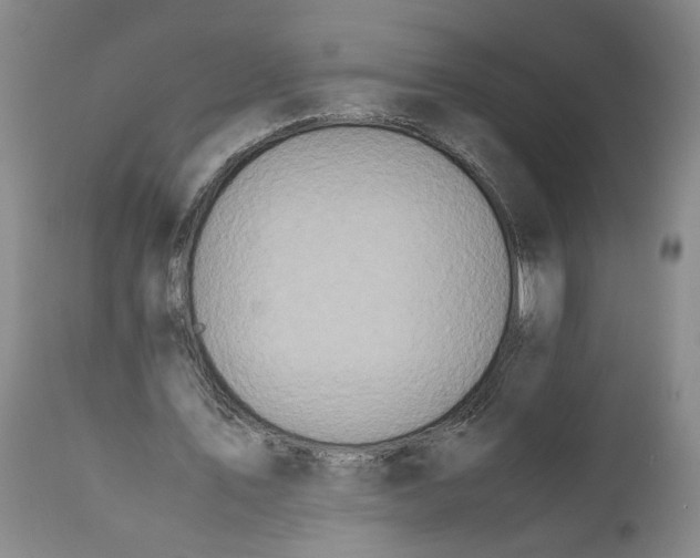 X0000112370579200909101323