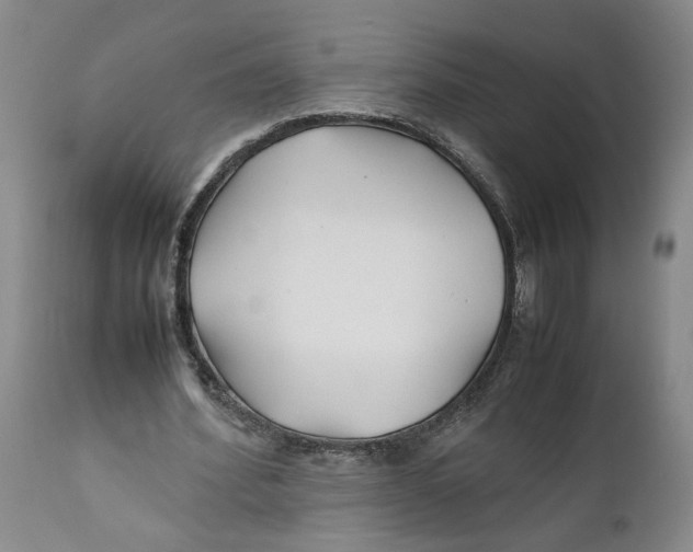 X0000112370580200909101323