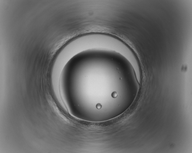 X0000112370581200909101323
