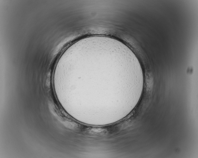 X0000112370583200909101323