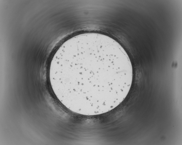 X0000112370584200909101323