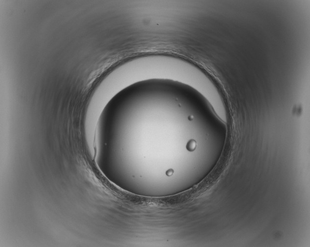 X0000112370585200909101323