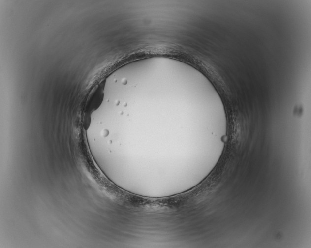 X0000112370586200909101323
