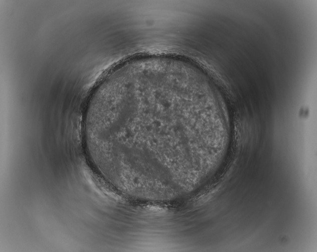 X0000112370592200909101323