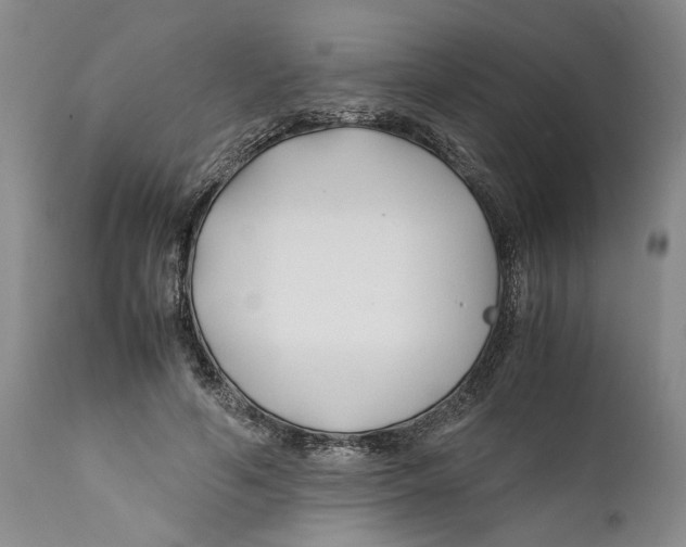 X0000112370594200909101323