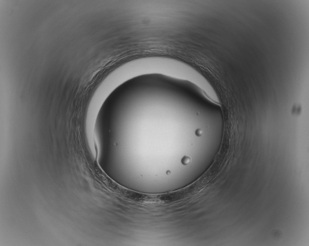 X0000112370595200909101323