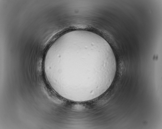 X0000112370596200909101323