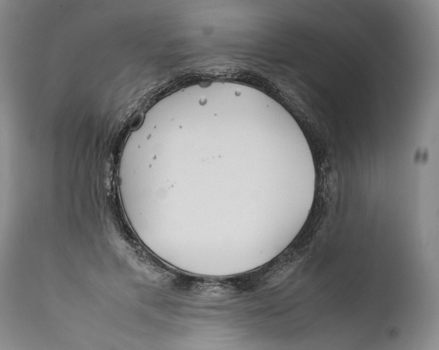 X0000112370597200909101323