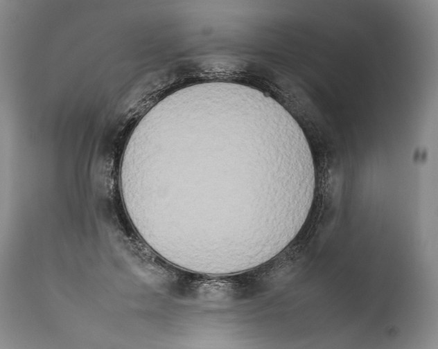 X0000112370599200909101323