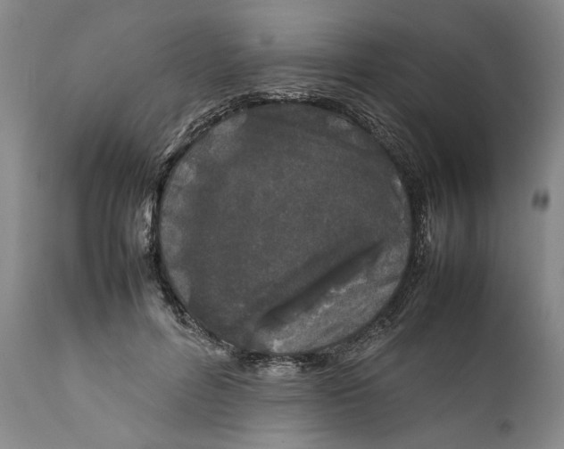 X0000112370600200909101323