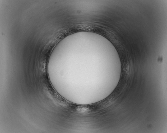 X0000112370602200909101323