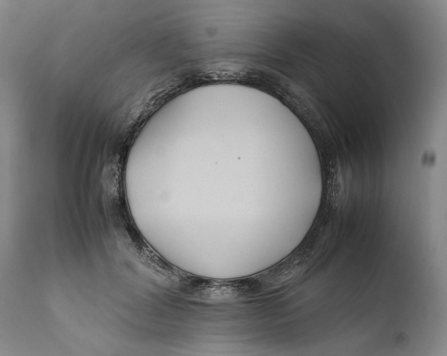 X0000112370604200909101323