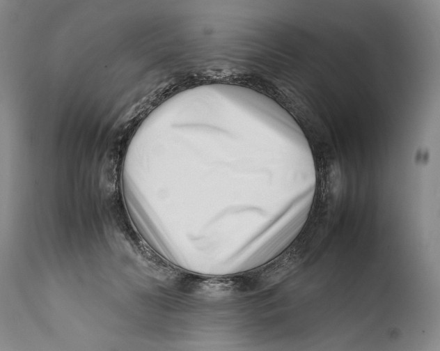 X0000112370606200909101323