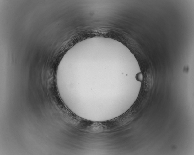 X0000112370608200909101323
