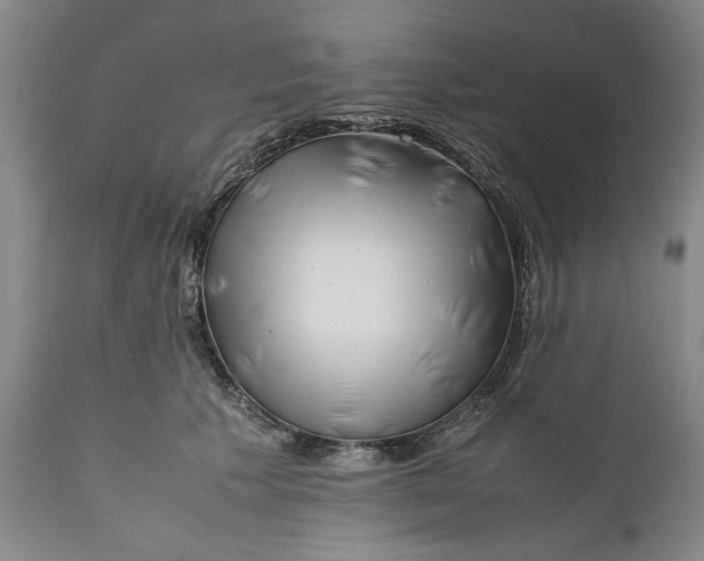 X0000112370609200909101323