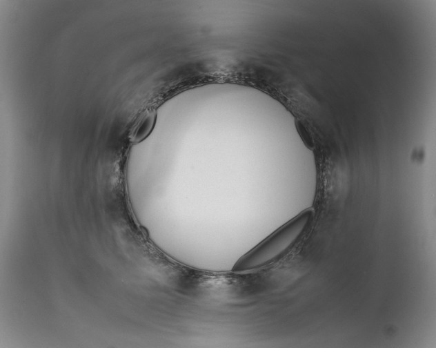 X0000112370611200909101323