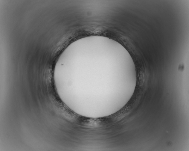X0000112370612200909101323