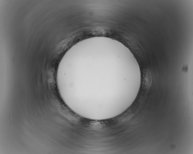 X0000112370616200909101323
