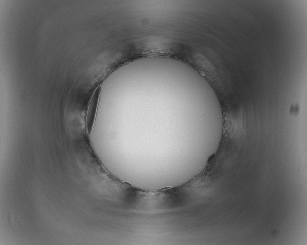 X0000112370621200909101323