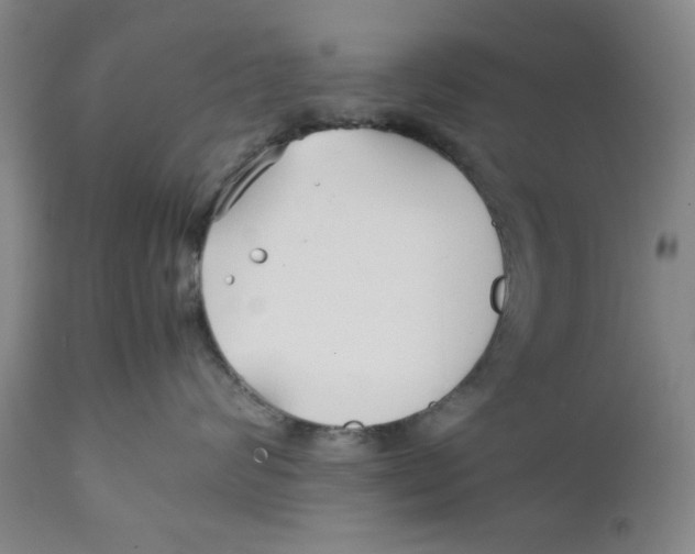 X0000112370624200909101323