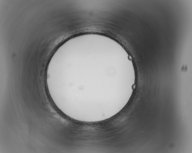 X0000112370625200909101322