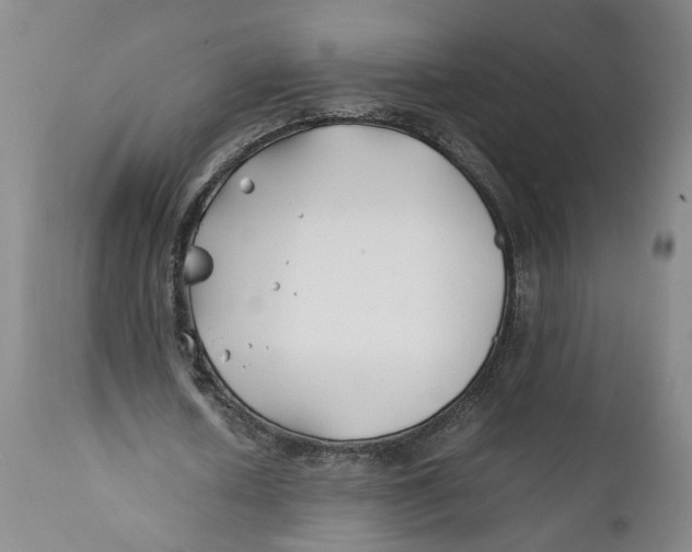 X0000112370626200909101322