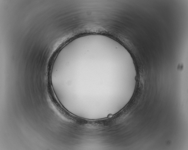X0000112370630200909101322