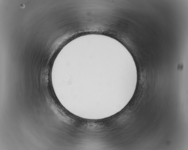 X0000112370632200909101322