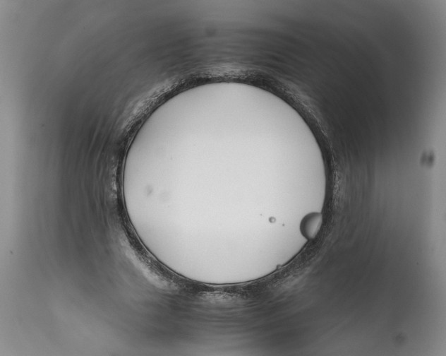 X0000112370633200909101322