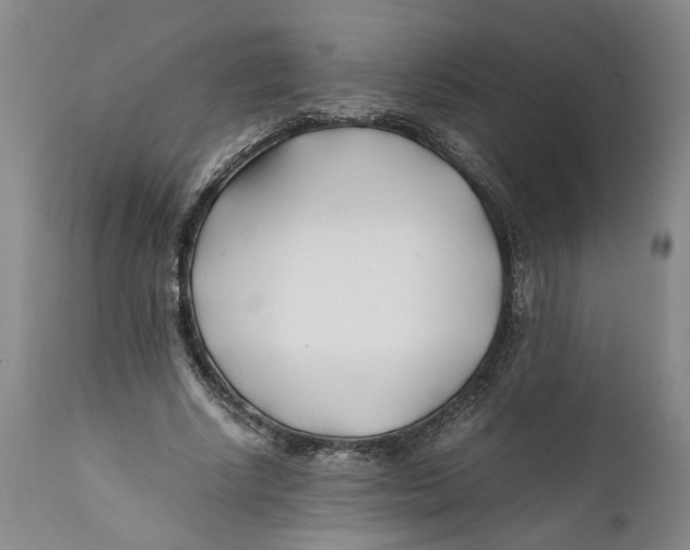 X0000112370634200909101322