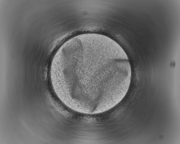 X0000112370640200909101322