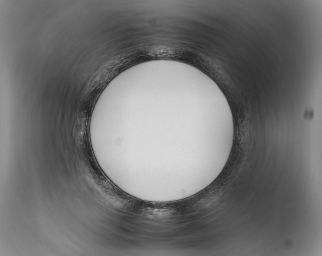 X0000112370645200909101322