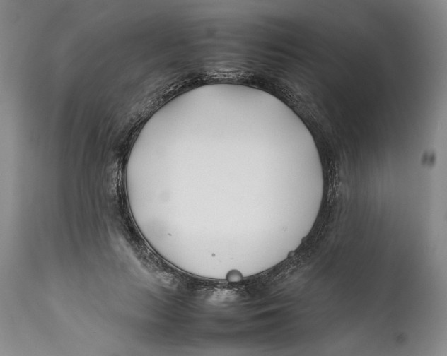 X0000112370647200909101322